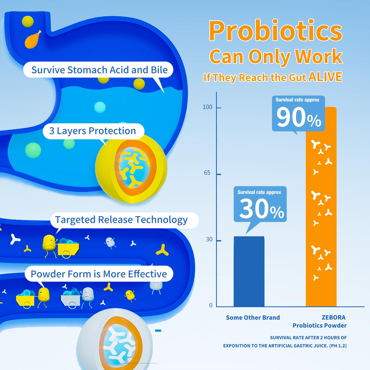 ZEBORA Poudre Probiotique en vue de face avec emballage