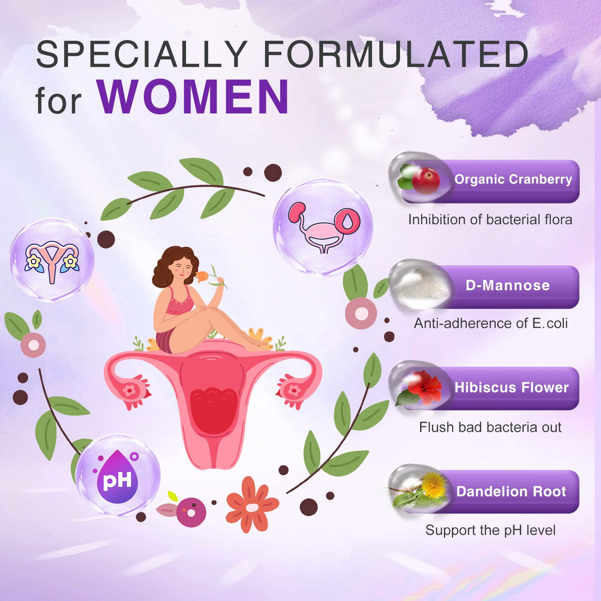 ZEBORA Probiotiques pour Femmes emballage arrière