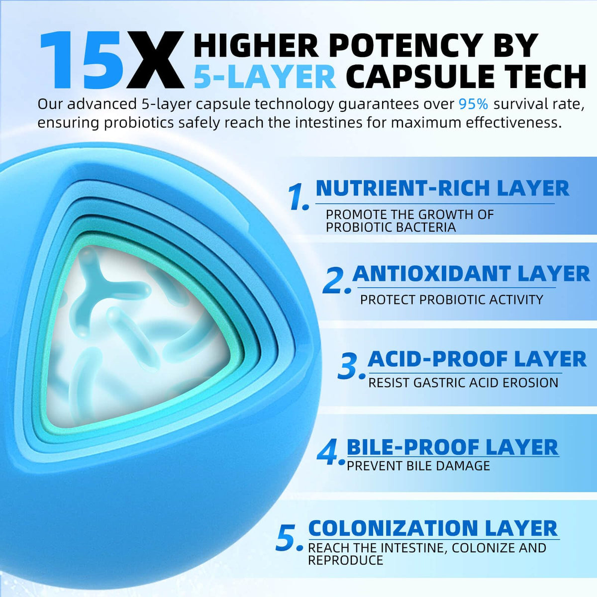 ZEBORA Probiotiques pour hommes capsules sur une surface