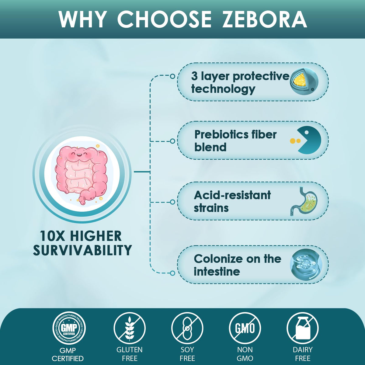 ZEBORA Probiotiques pour Hommes comprimés avec des ingrédients