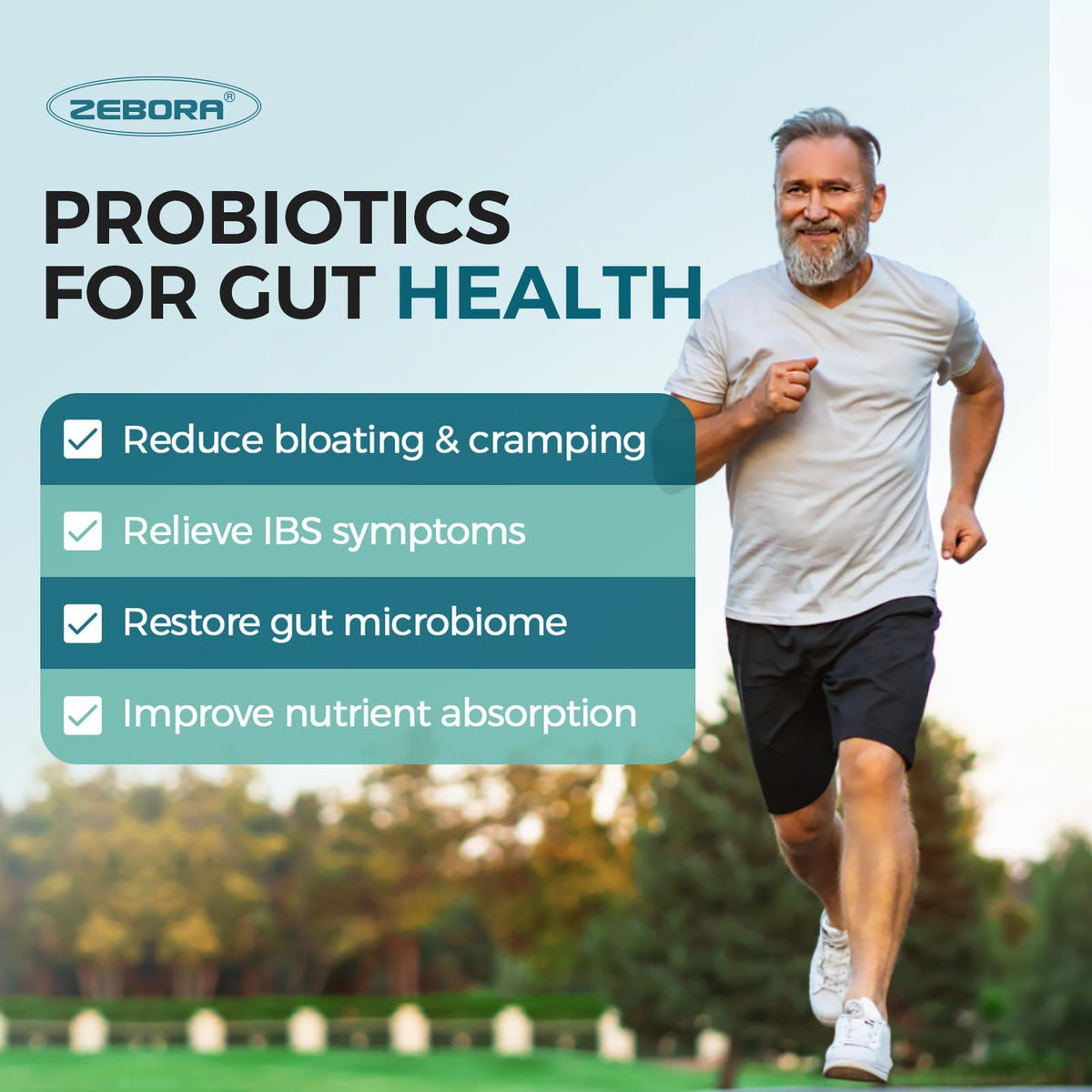 ZEBORA Probiotiques pour Hommes comprimés dans la main