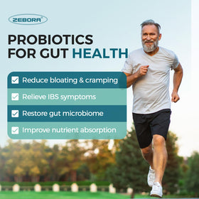 ZEBORA Probiotiques pour Hommes comprimés dans la main