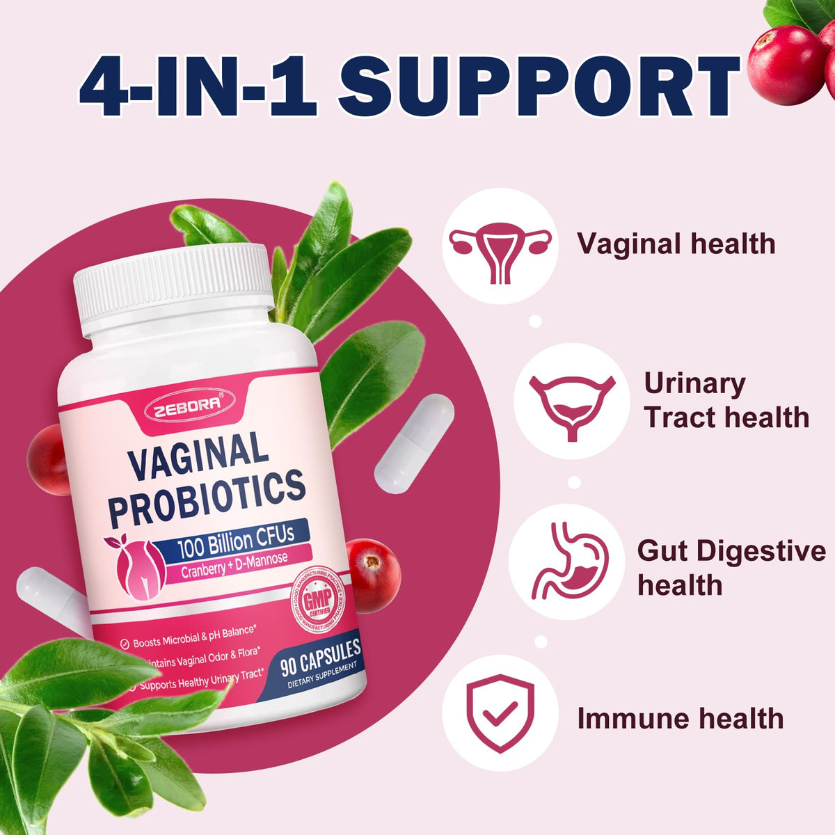 ZEBORA Probiotiques Vaginales 90 Capsules côté