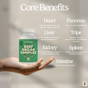 Zen Principle Complément Alimentaire Foie de Boeuf 181g côté