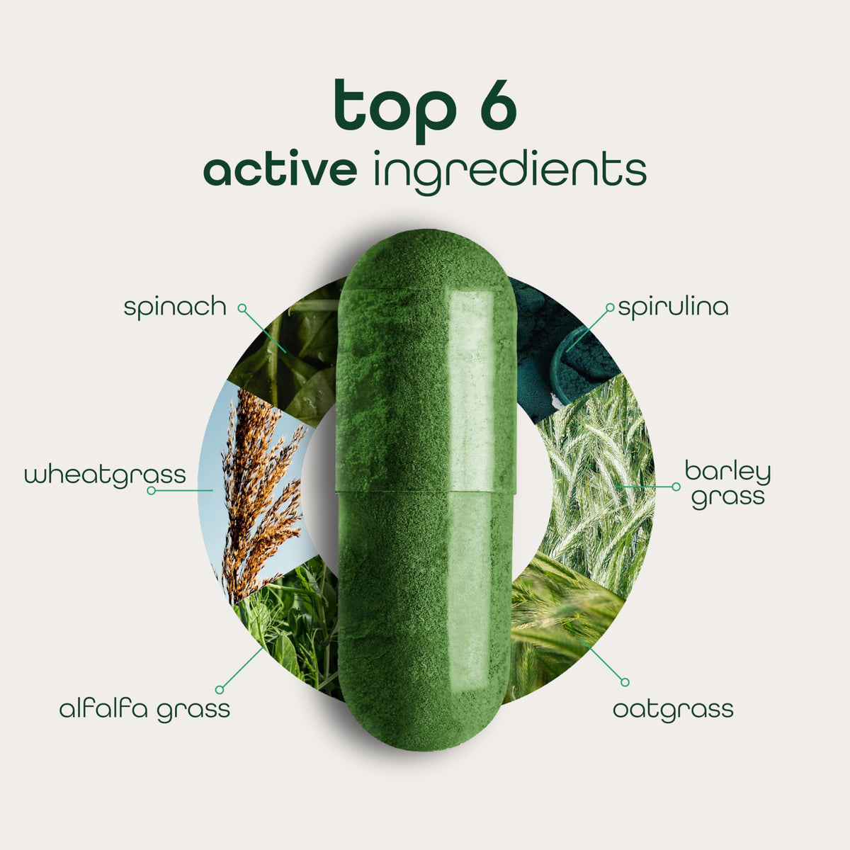 Zena Nutrition Super Greens flacon ouvert montrant les capsules