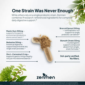 Zenmen H. Pylori Support, capsules à côté d'une tasse d'eau
