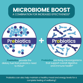Zentastic Complément Alimentaire Probiotiques 50 Milliards CFU, capsules sur un fond blanc