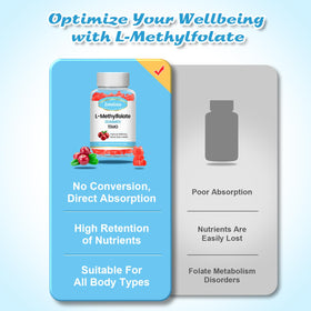Zetelixia gummies L-Méthylfolate et B12, informations nutritionnelles
