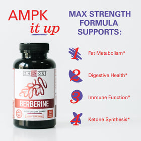 ZHOU Berberine 1000mg capsule végétarienne ouverte