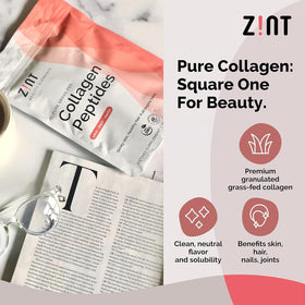 Zint Poudre de Peptides de Collagène 32 oz avec cuillère doseuse