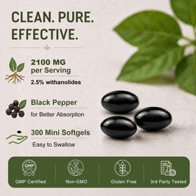 ZIPINKJ Ashwagandha 2100mg capsules sur fond blanc