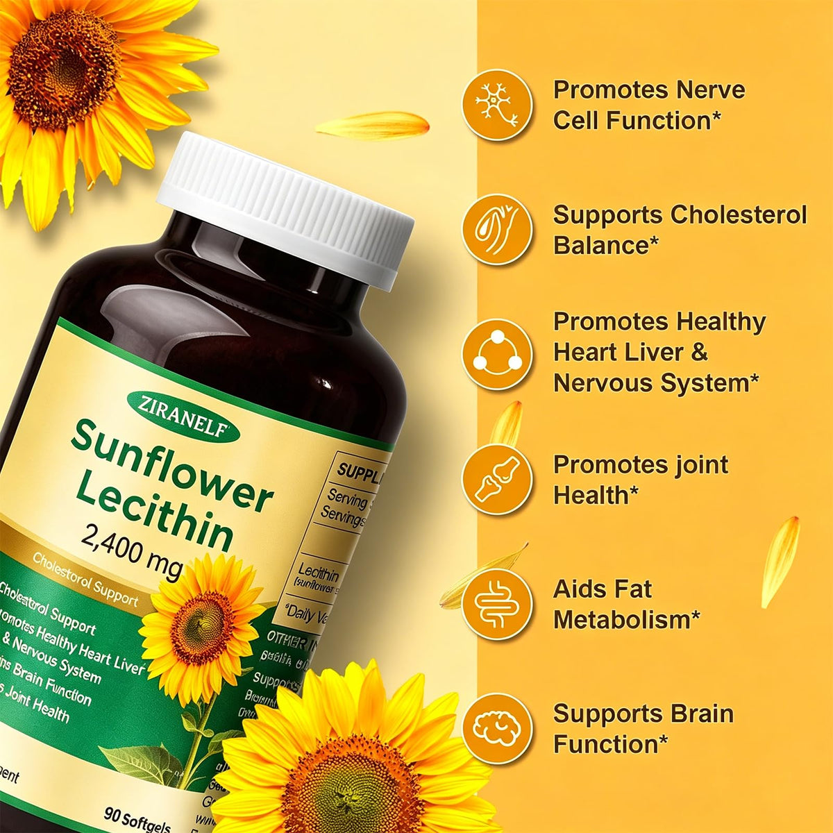 ZiranElf Lecithine de Tournesol 2400mg gélules molles en gros plan sur l'étiquette