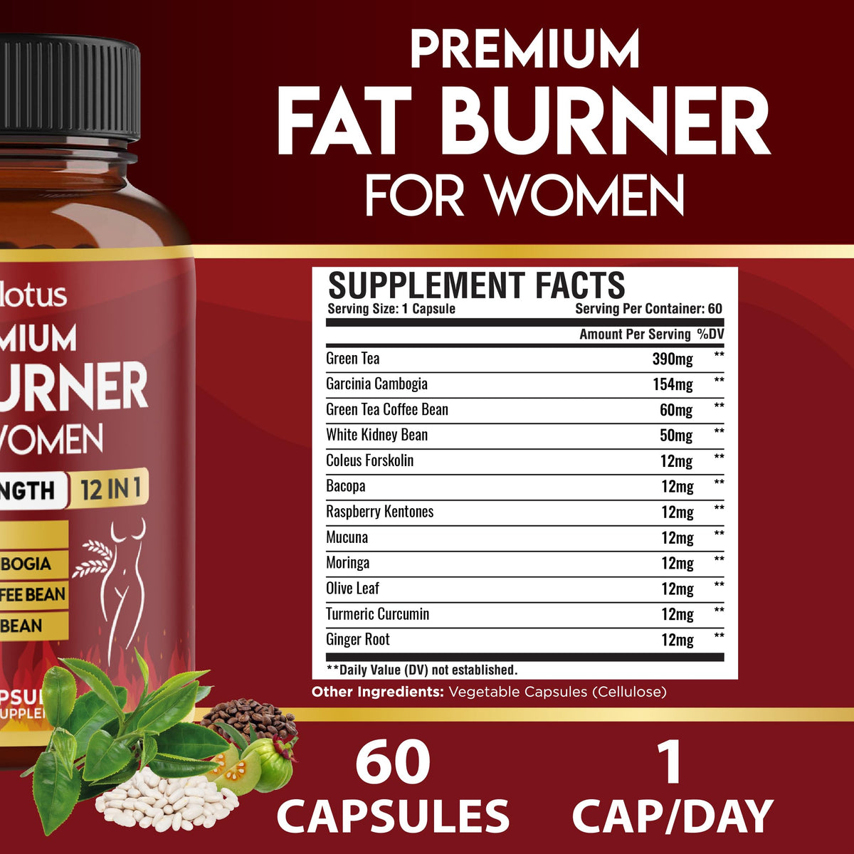 Zolotus Brûleurs de Graisse boîte avec capsules