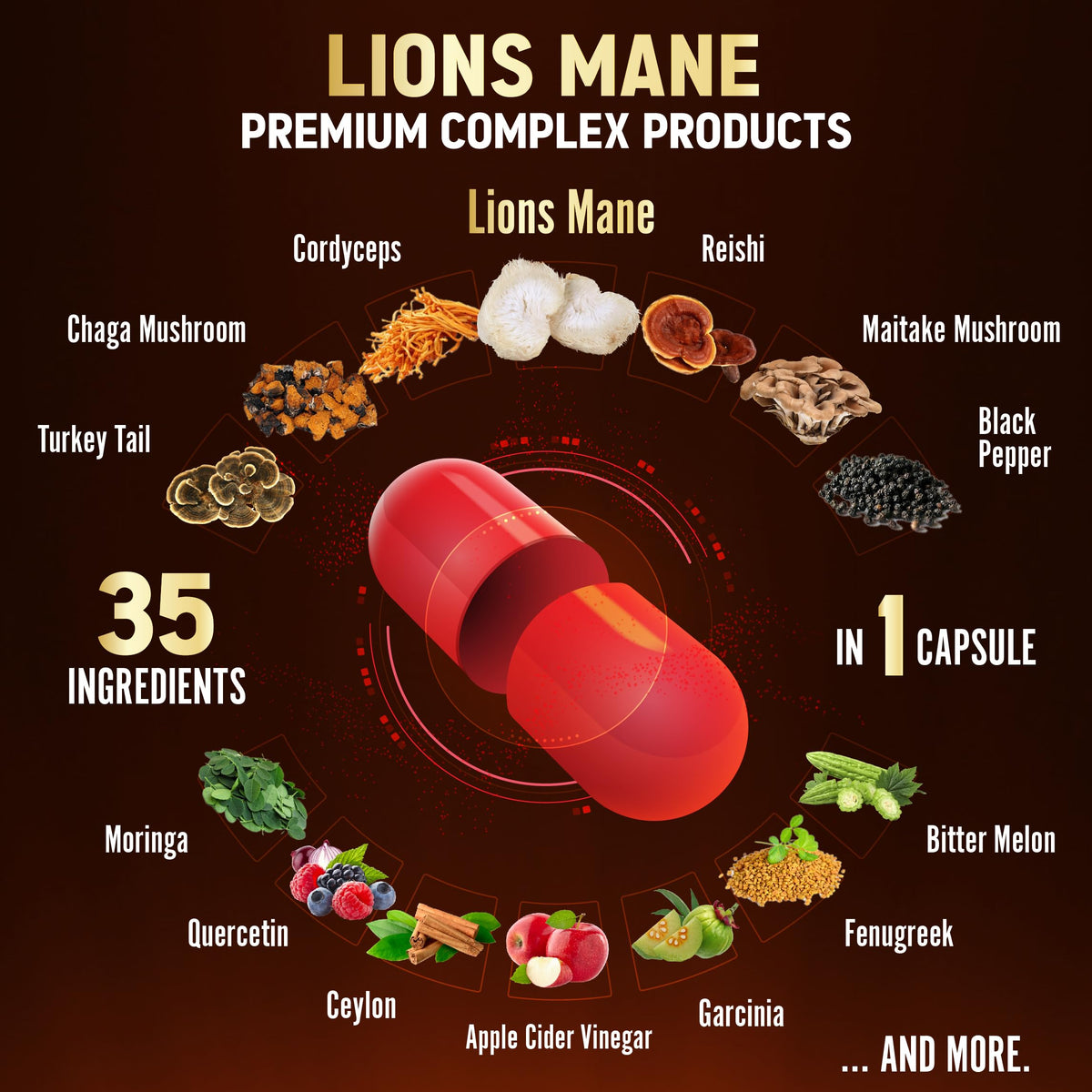 Zolotus Capsules de Champignon Lion's Mane avec liste des ingrédients