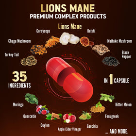 Zolotus Capsules de Champignon Lion's Mane avec liste des ingrédients
