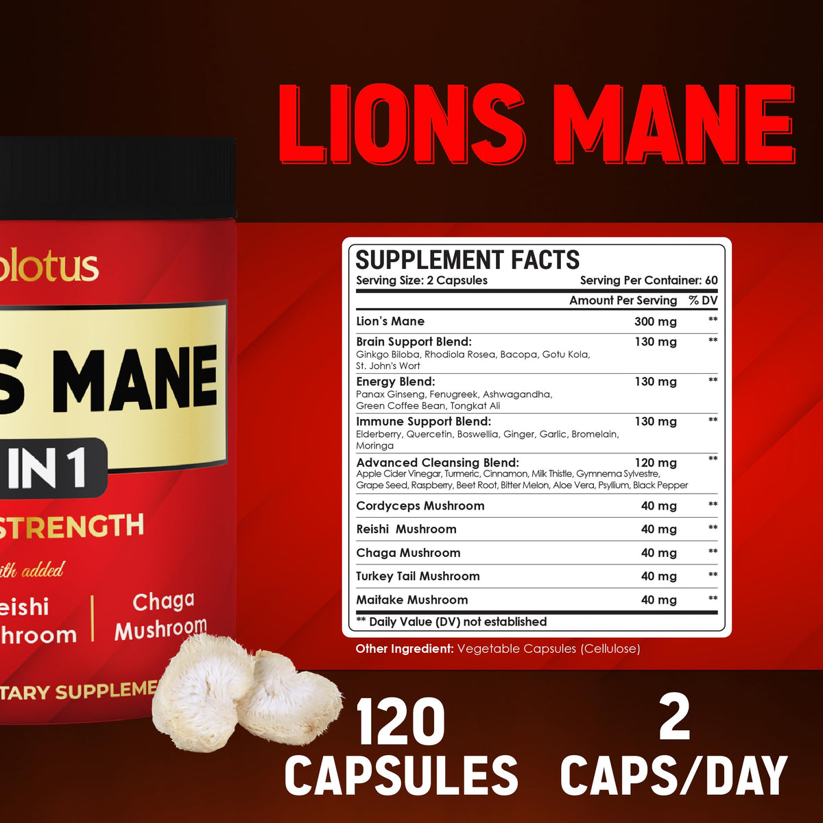 Zolotus Capsules de Champignon Lion's Mane contenant Lion's Mane et Reishi