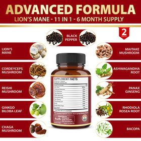 Zolotus Champignon Lion capsules avec verre d'eau