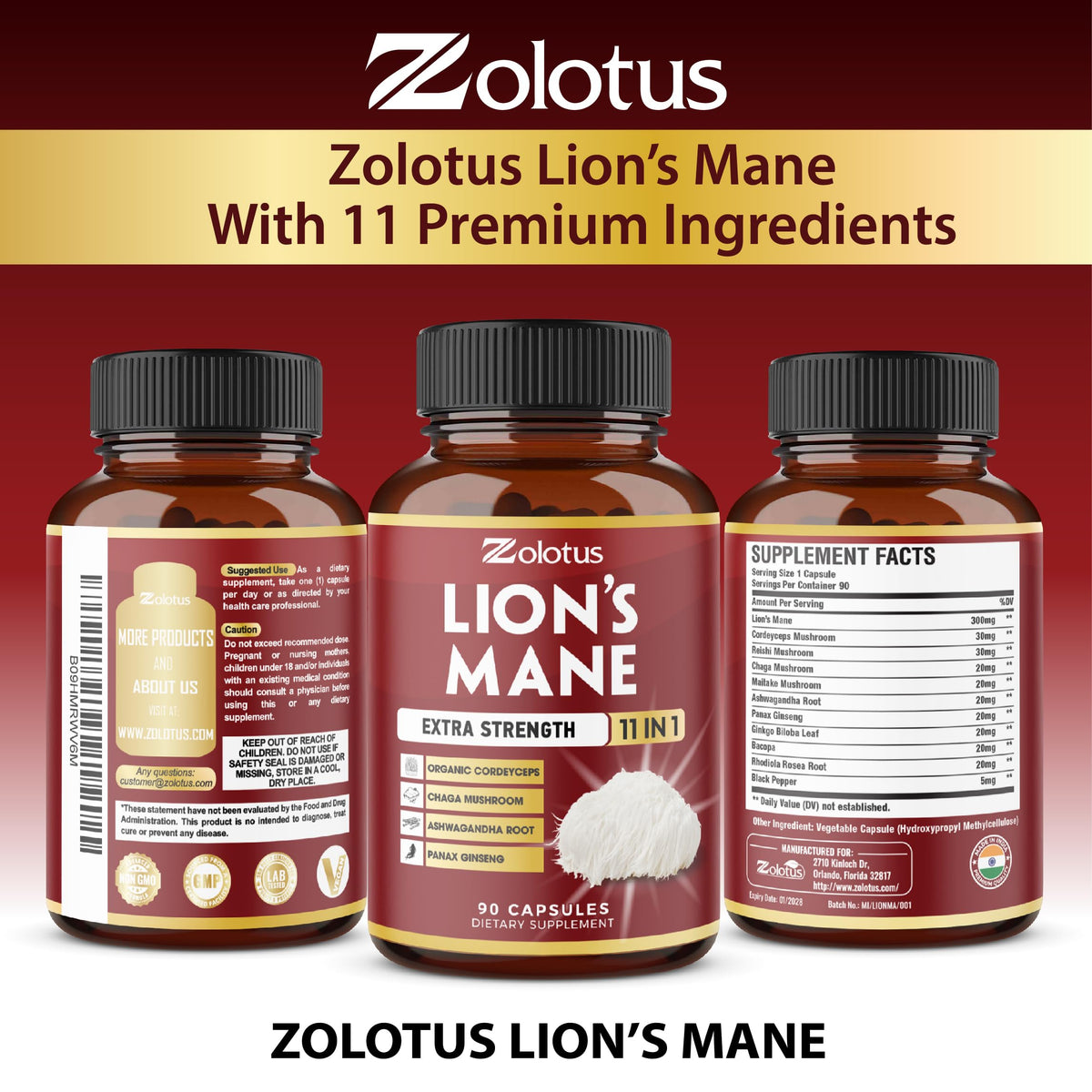 Zolotus Champignon Lion capsules dans un bol