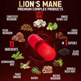 Zolotus Champignon Lion capsules sur une table