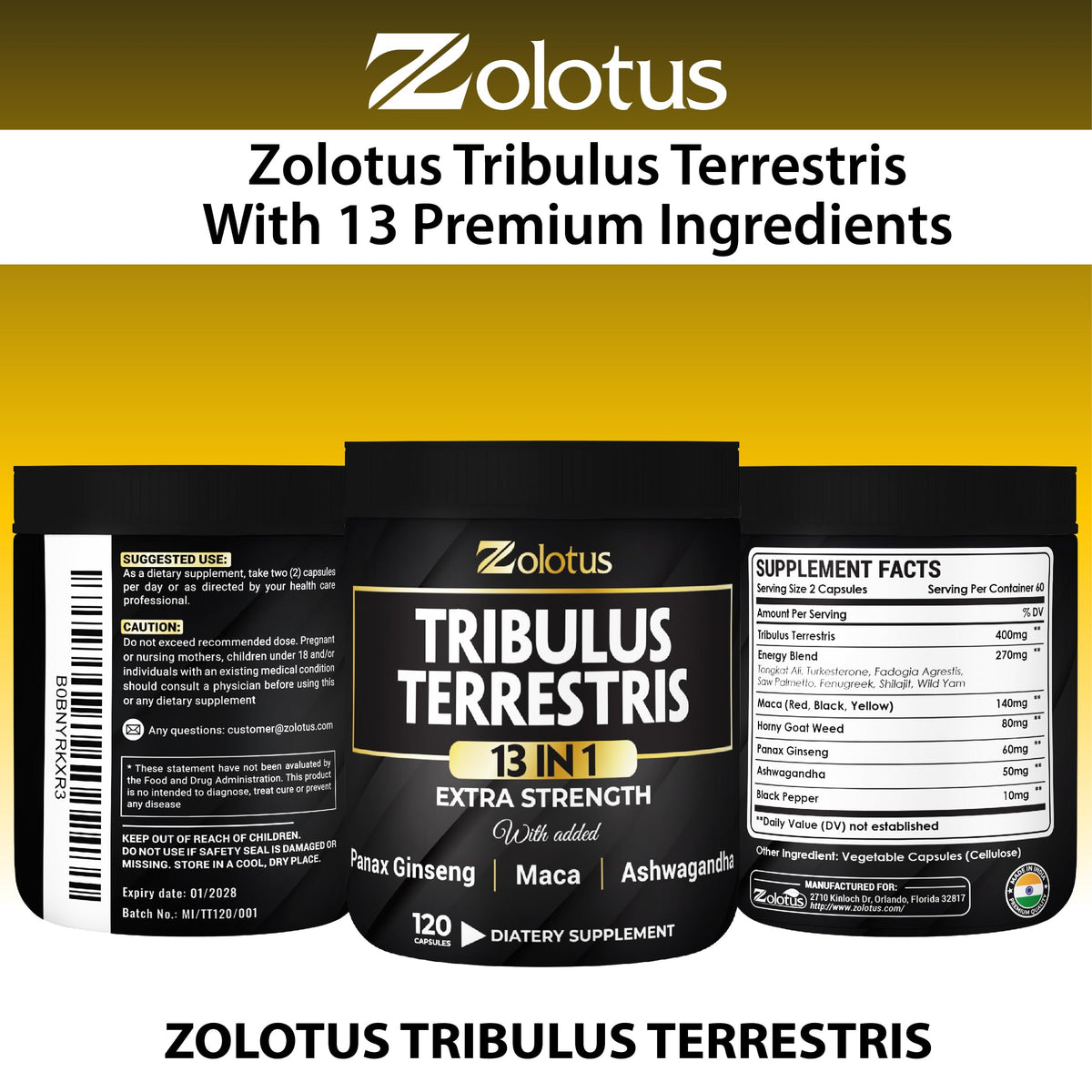Zolotus Complément Alimentaire 13-en-1 sur un fond neutre