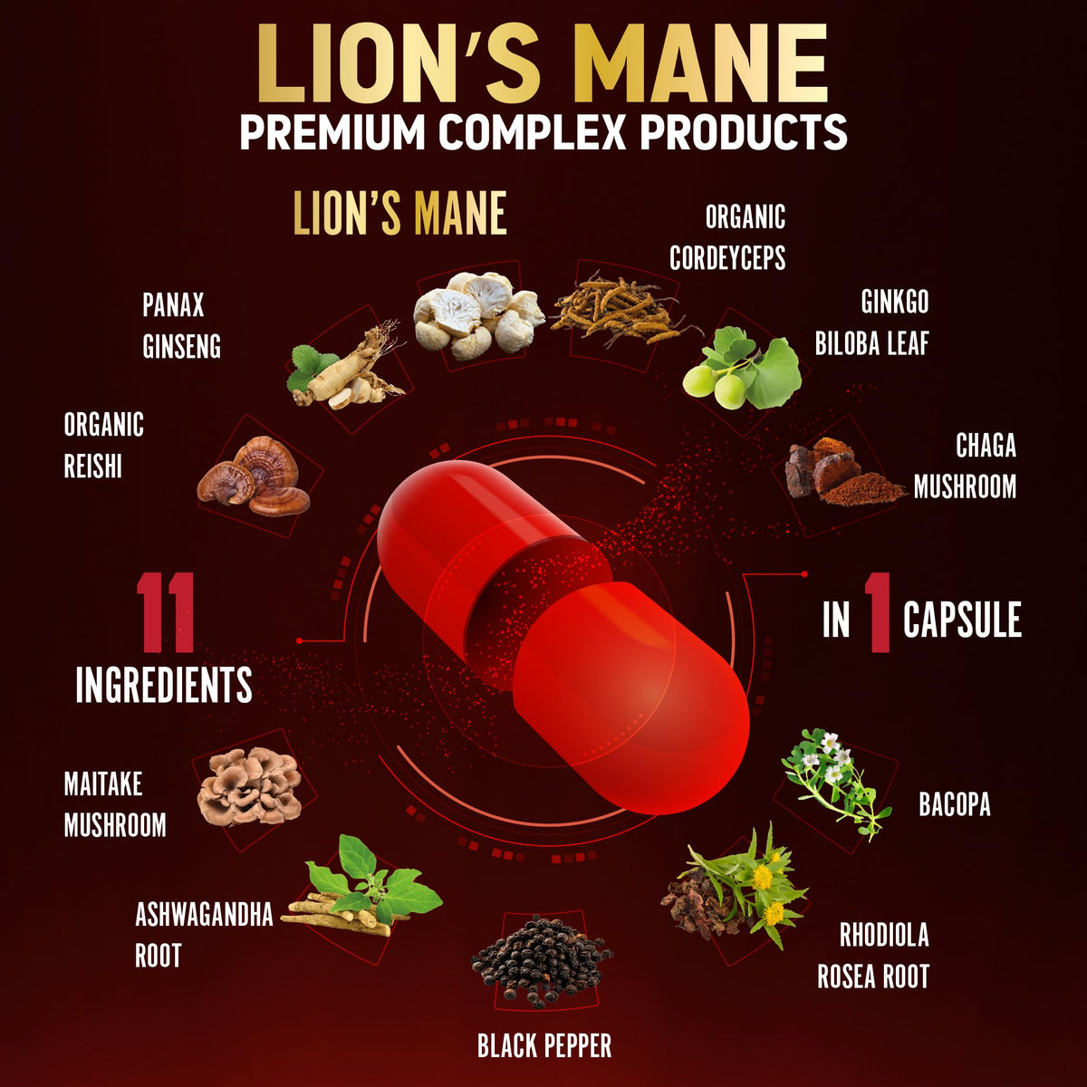 Zolotus Gélules de Champignon Lion 11 en 1, vue de côté
