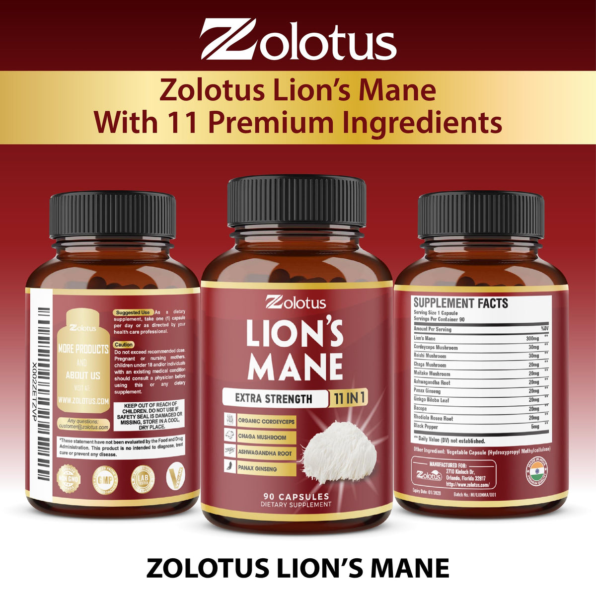 Zolotus Gélules de Champignon Lion 11 en 1, vue de l'arrière du flacon