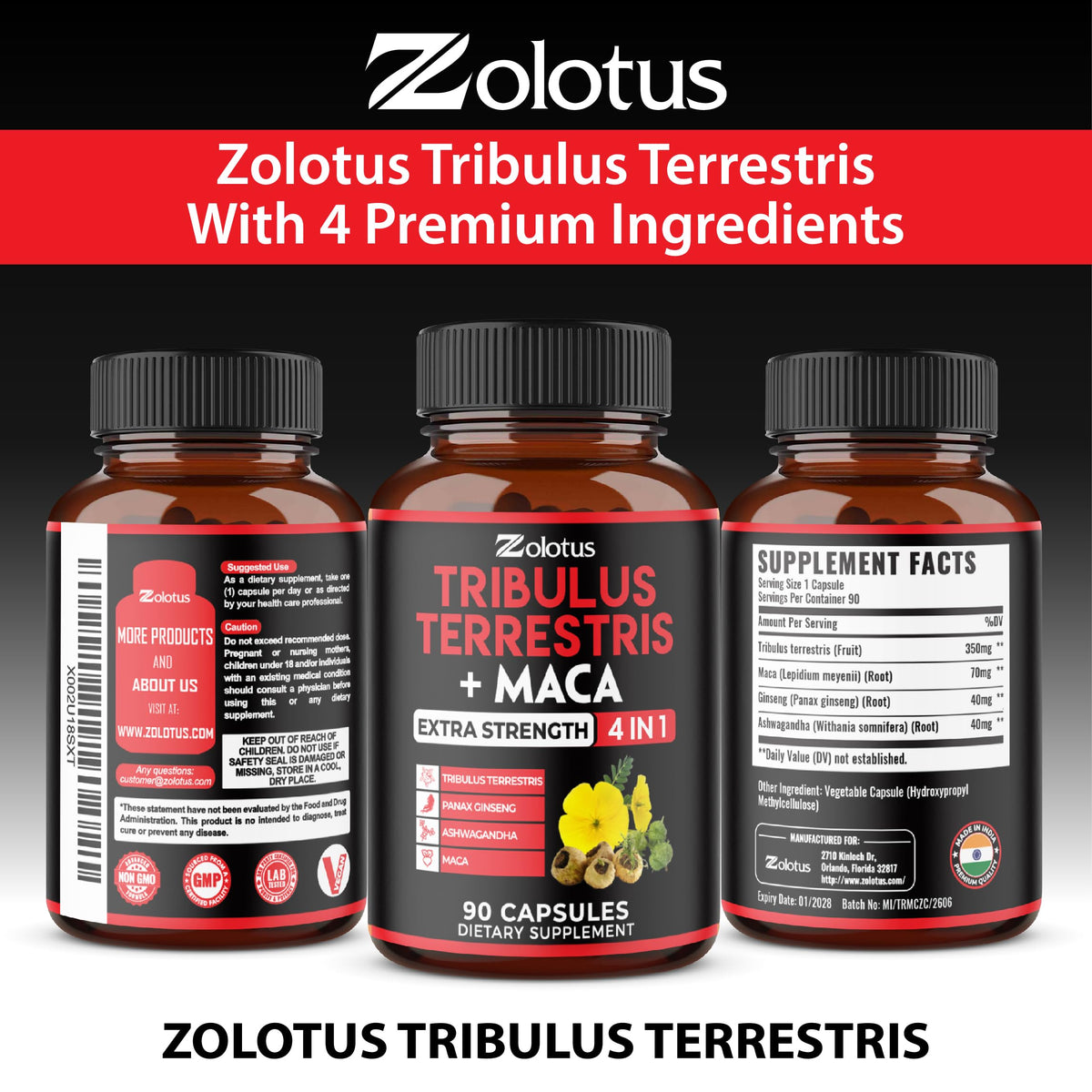 Zolotus Tribulus Terrestris capsules avec ingrédients naturels en arrière-plan