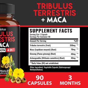 Zolotus Tribulus Terrestris capsules avec tablettes sur fond blanc