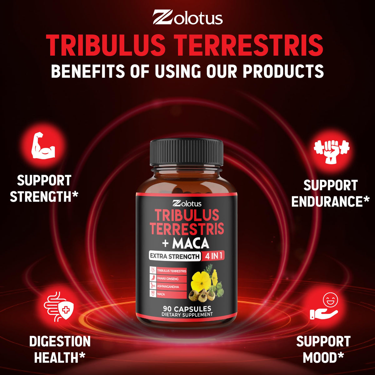 Zolotus Tribulus Terrestris capsules en main