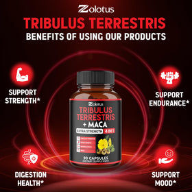 Zolotus Tribulus Terrestris capsules en main