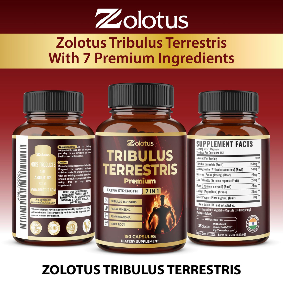 Zolotus Tribulus Terrestris présenté avec un verre d'eau