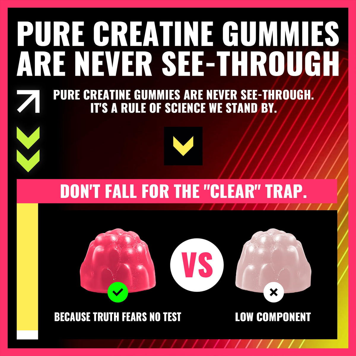 Zoom sur gummies de creatine monohydrate PURESTVITS