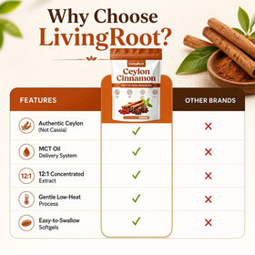 Zoom sur l'étiquette du sachet de Canelle de Ceylan LivingRoot