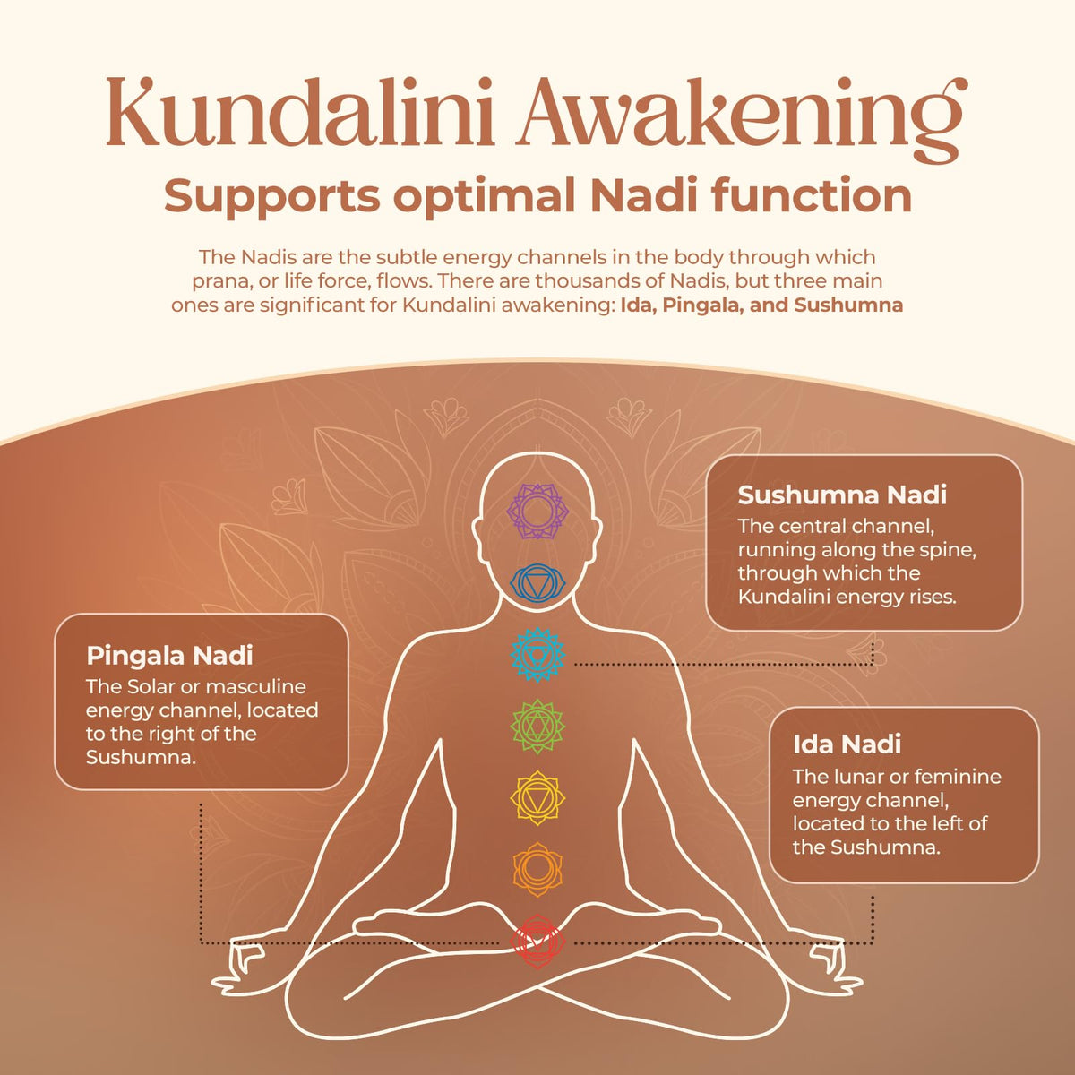 Zoom sur la capsule de Kundalini Awakening