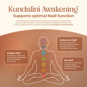 Zoom sur la capsule de Kundalini Awakening