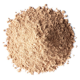 Zoom sur la poudre de camu camu bio Food to Live avec une cuillère