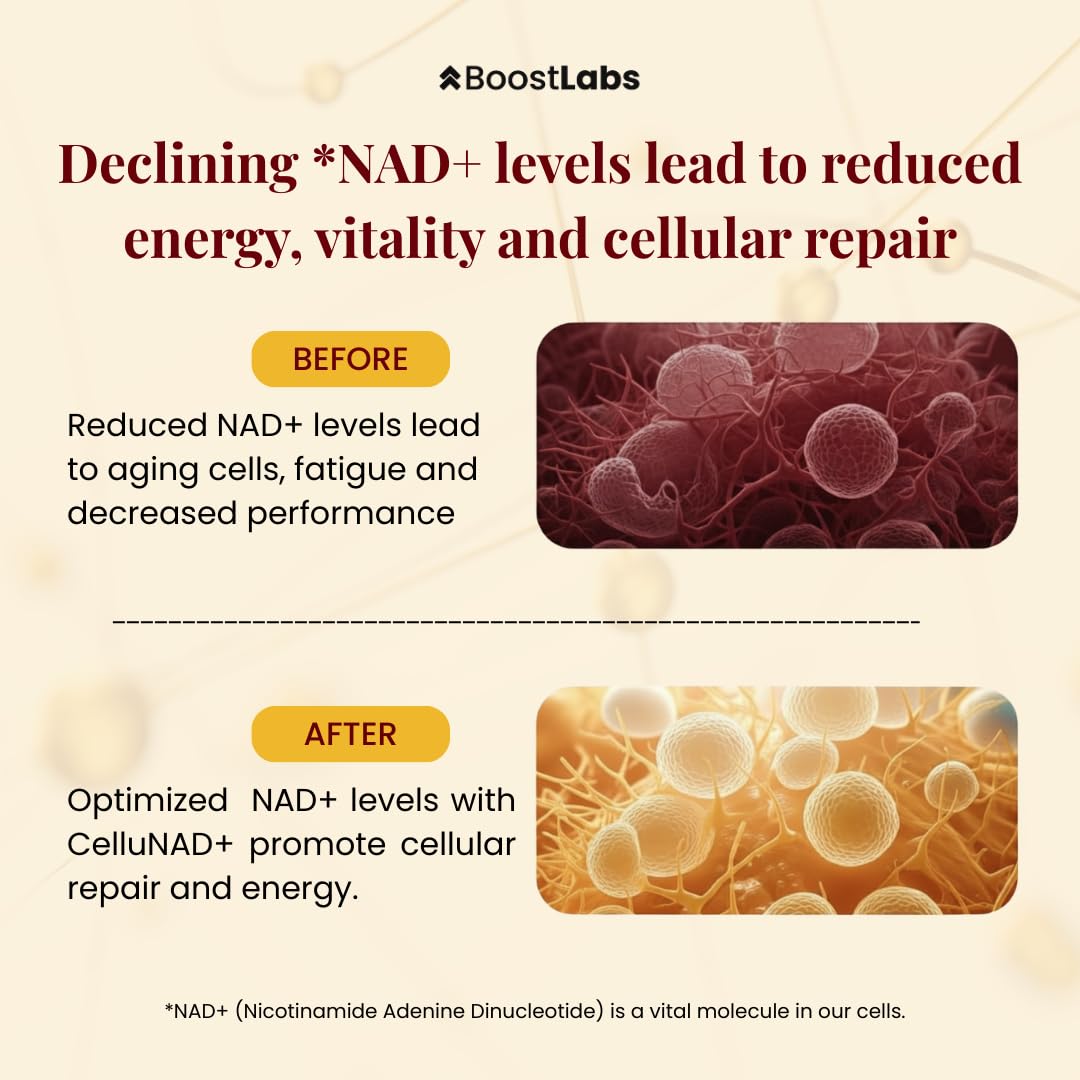 Zoom sur le compte-gouttes du complément Liposomal NAD+