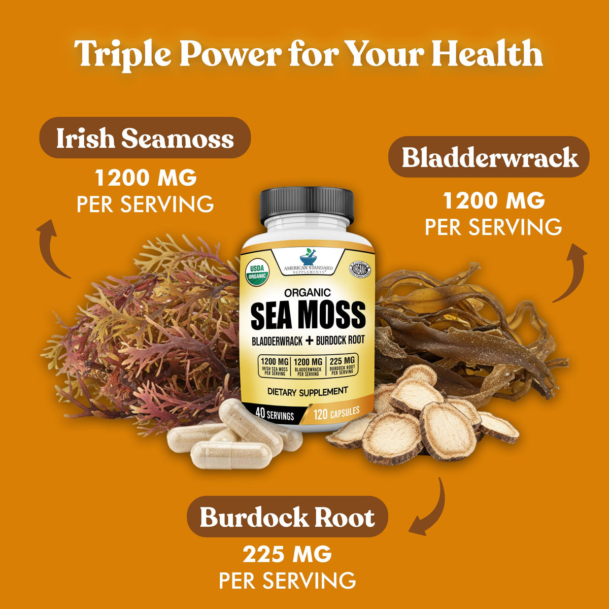 Zoom sur les capsules d'algues maritimes American Standard Supplements