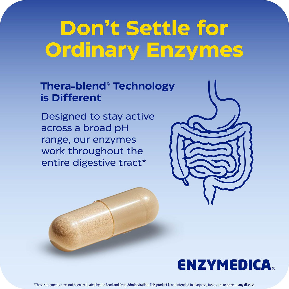 Zoom sur les capsules d'Enzymedica daily Complete