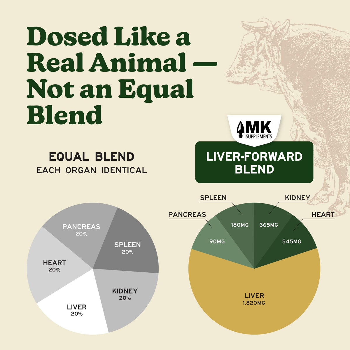 Zoom sur les Capsules d'Organes de Boeuf MK Supplements
