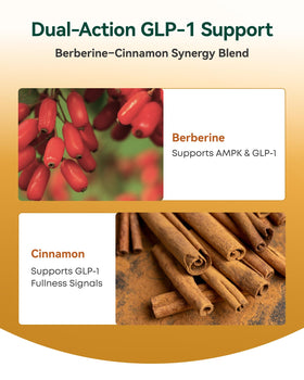 Zoom sur les capsules de Berbérine Liposomale Inner Brightness