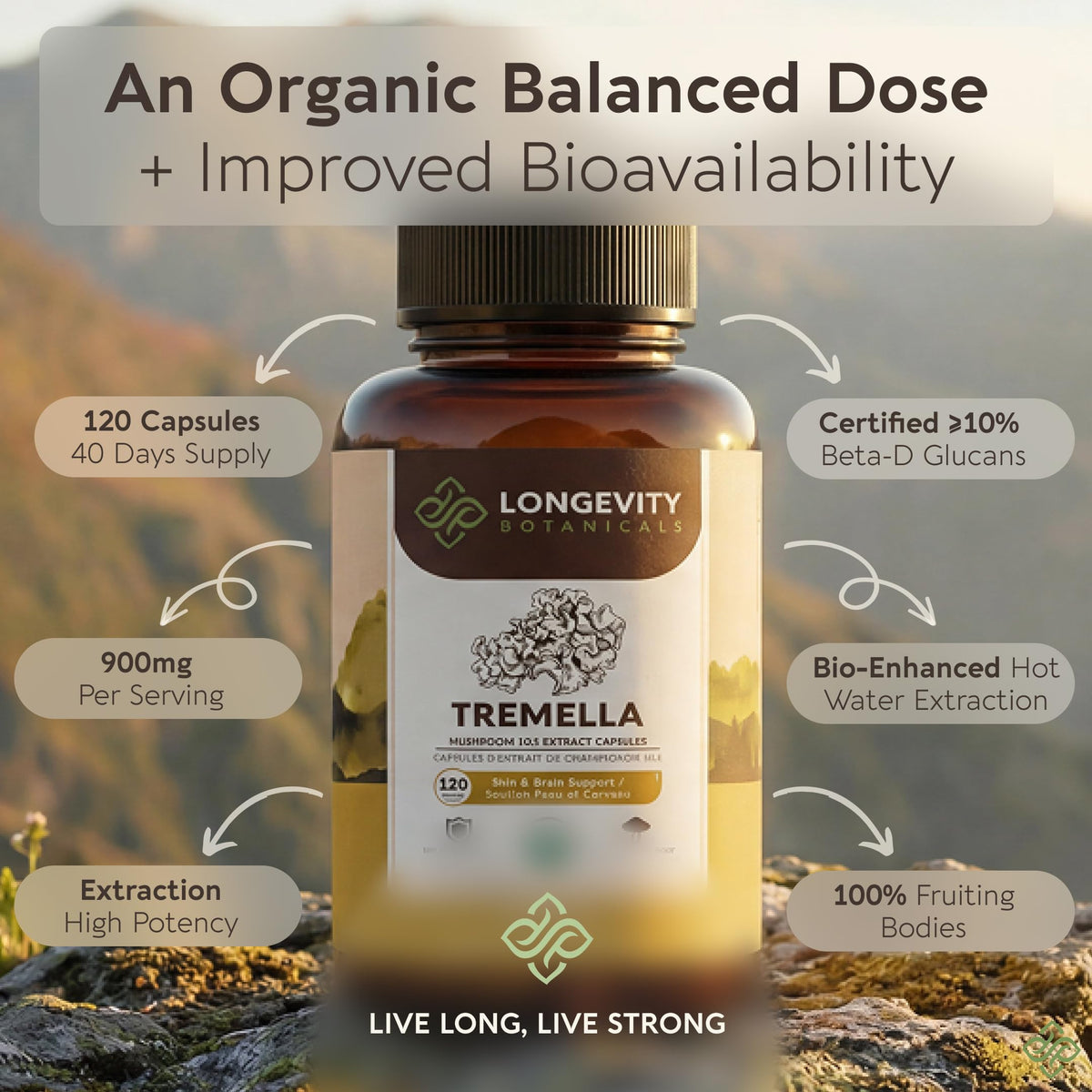 Zoom sur les capsules de champignon Tremella montrant leur taille