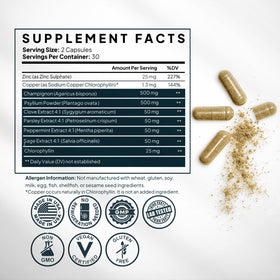 Zoom sur les capsules de chlorophylle Zenmen