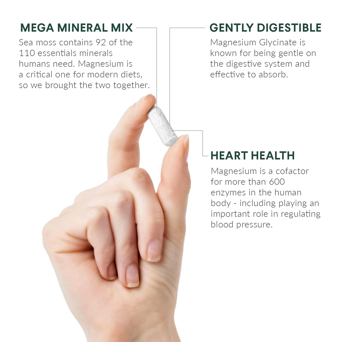 Zoom sur les capsules de magnésium glycinate avec Irish sea moss