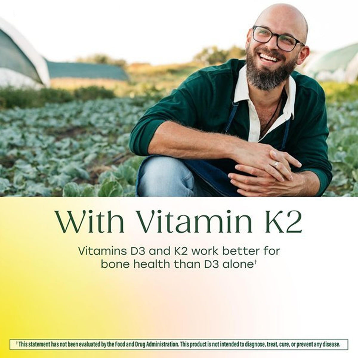 Zoom sur les capsules de MegaFood Vitamine D3 K2
