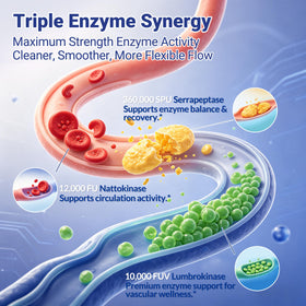 Zoom sur les capsules de nattokinase yewloud
