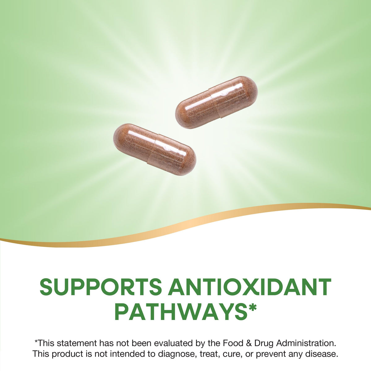 Zoom sur les capsules de Nature's Way Resveratrol
