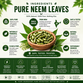 Zoom sur les capsules de Neem Organic Aura