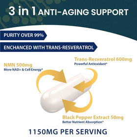 Zoom sur les capsules de NMN 1150mg et Resvératrol 600mg