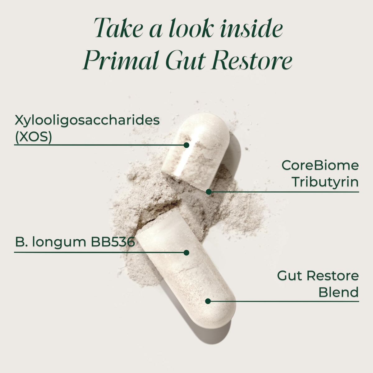 Zoom sur les capsules de Primal Harvest Gut Restore